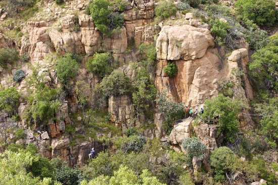 Picture of The Karkloof Canopy Tour